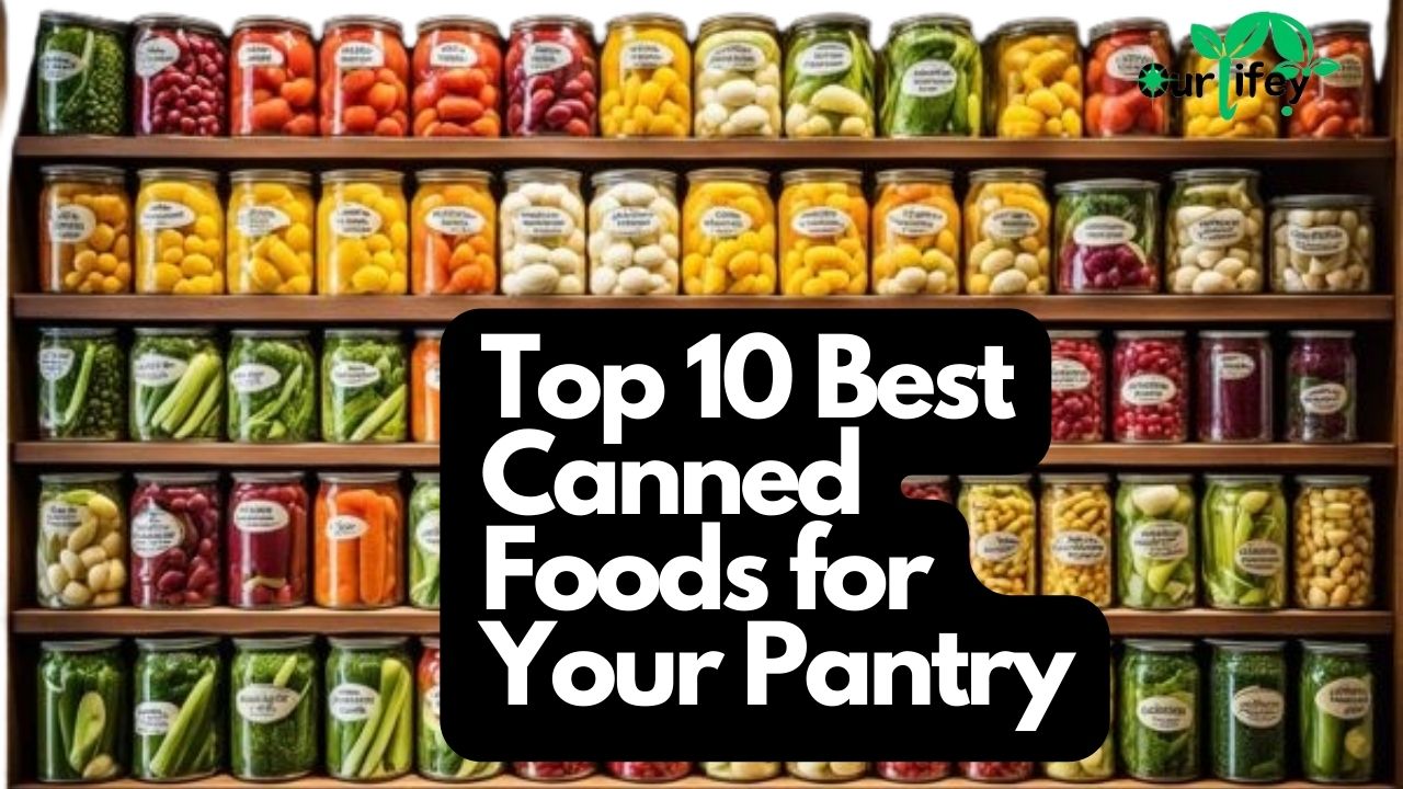 Best Canned Foods