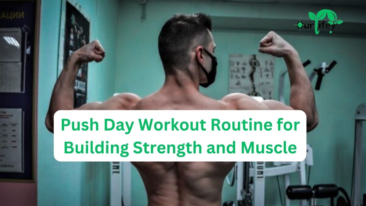 Push Day Workout Routine